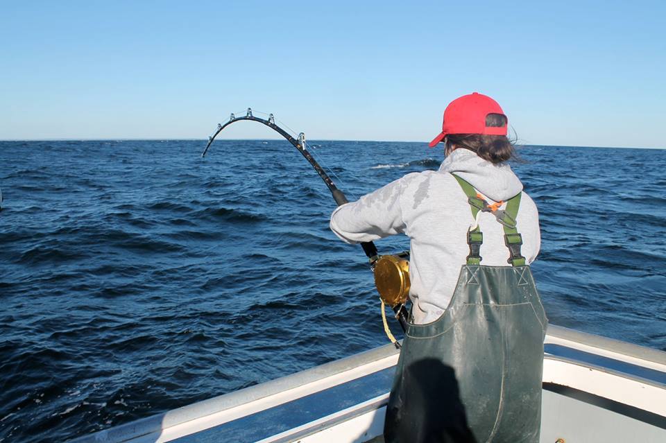 Boat & Gear - MacDougall Bluefin Tuna Charters